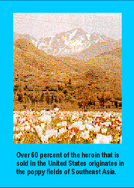 Over 60 percent of the heroin that is sold in the United States originates in the poppy fields of Southeast Asia.
